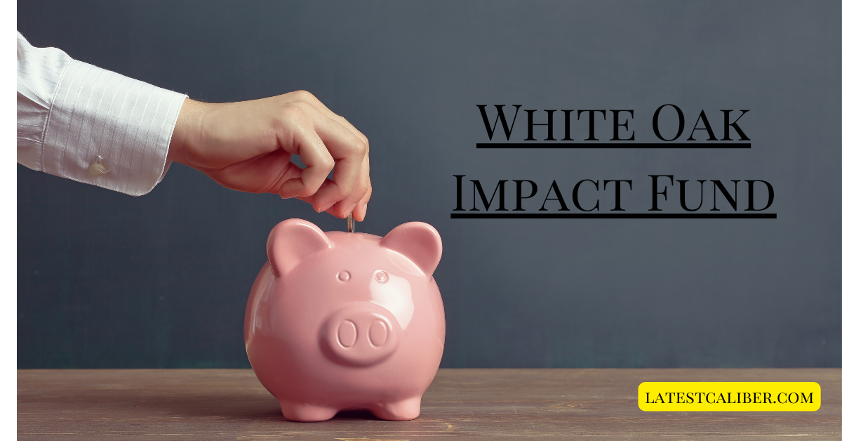 White Oak Impact Fund: A Sustainable Approach to Profitable Investing
