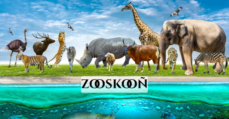 zooskooñ